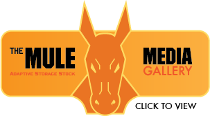 The MULE Media Gallery